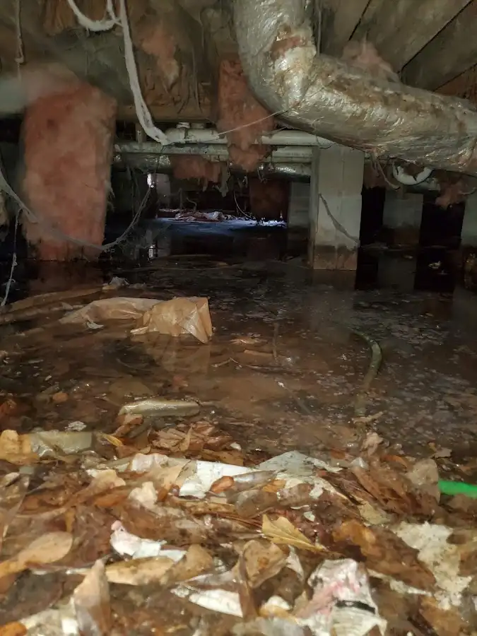 Crawl space flood assessment for Leak Detection & Repair in Wailea