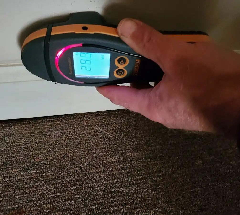 Moisture detection at baseboard during Mold Inspection & Testing in Wailea